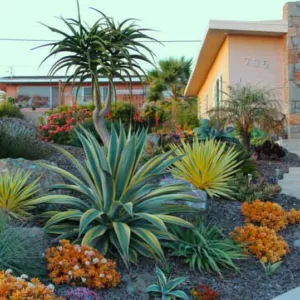 Gardens by Gabriel
