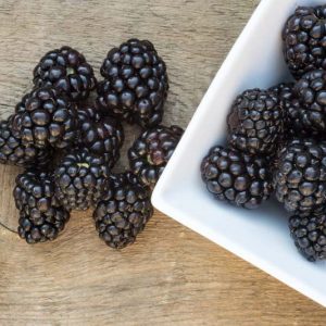 Rubus fruticosus 'Natchez', Blackberry Natchez, Black Berries, Fruiting Shrub
