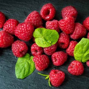Rubus idaeus 'Boyne', Raspberry 'Boyne', Red Raspberry 'Boyne', Raspberries, Red Berries, Fruiting Shrub