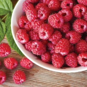 Rubus idaeus 'Heritage', Raspberry 'Heritage', Everbearing Raspberry, Raspberries, Red Berries, Fruiting Shrub
