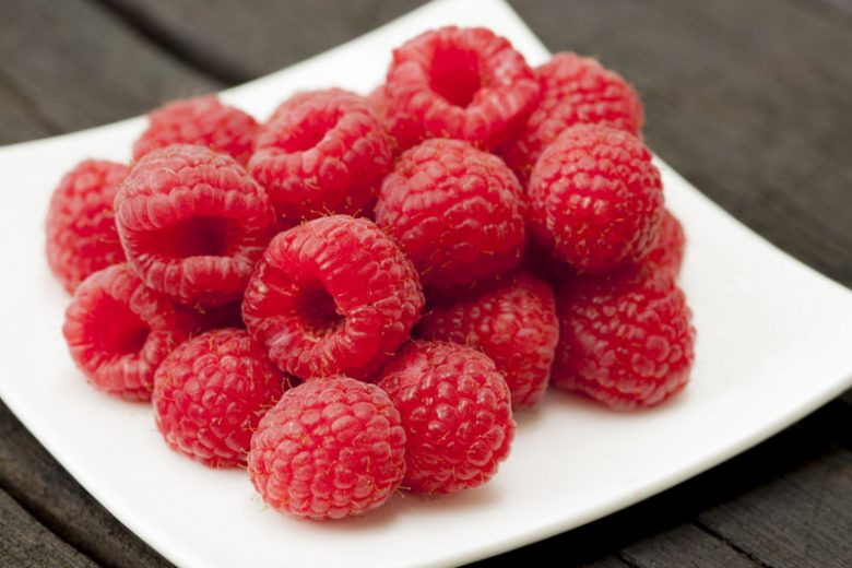 Rubus idaeus 'Killarney', Raspberry 'Killarney', Red Raspberry 'Killarney', Raspberries, Red Berries, Fruiting Shrub
