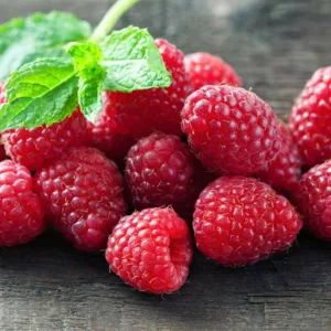 Rubus idaeus 'September', Raspberry 'September', Everbearing Raspberry, Raspberries, Red Berries, Fruiting Shrub