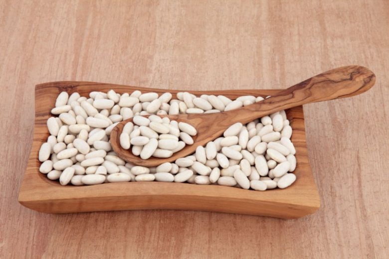 Cannellini Bean, White Kidney Bean, White Bean, Phaseolus vulgaris