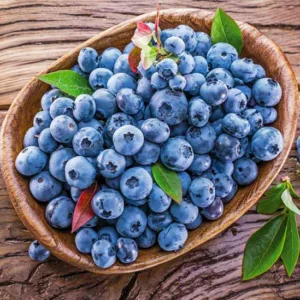 Vaccinium Blueray, Highbush Blueberry 'Blueray', Blueberry 'Blueray', Berries, Blue Berries