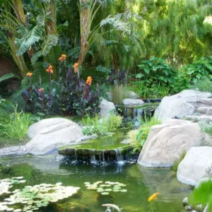 Pat Brodie Landscape Design