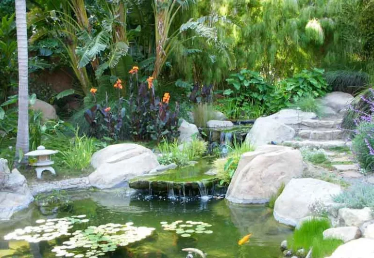 Pat Brodie Landscape Design