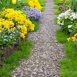 Garden Ideas, Border ideas, Garden path ideas, Aurinia Saxatilis, Creeping Phlox, Phlox Subulata, and Evergreen Candytuft, Iberis Sempervirens