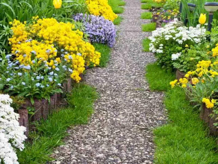 Garden Ideas, Border ideas, Garden path ideas, Aurinia Saxatilis, Creeping Phlox, Phlox Subulata, and Evergreen Candytuft, Iberis Sempervirens