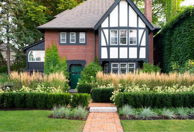 Perennial Combinations, Plant Combinations, Summer Borders, Hedge Ideas, Feather Reed Grass,Double Echinacea, Calamagrostis x Acutiflora,Blue Fescue, Festuca Glauca
