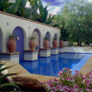 Garden Ideas, Landscaping Ideas, Small Garden, Small Backyard, Small Space, Small terrace, Small Balcony, Maximise small space, Studio H landscape, accent tiles, container plants,glass tiles,mosaic tiles,planters,pool tiles,potted plants,spanish,succulent