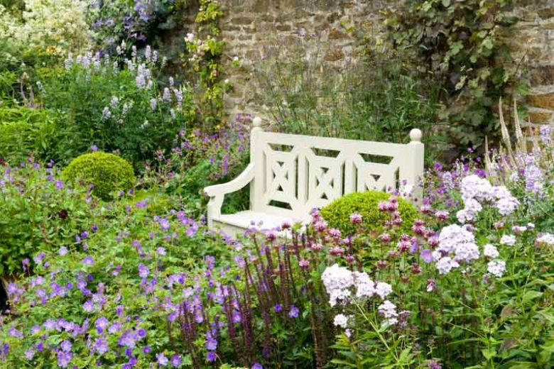 Garden Ideas, Border ideas, Perennial Planting, Perennial combination, Summer Borders, Monarda, Bee Balm, Phlox Paniculata, Geranium Rozanne, Double Geranium, Salvia Caradonna, Baptisia, Culver's Root
