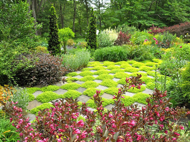 Garden Ideas, Landscaping ideas, Andrew Grossman Landscape Design, hot color garden, checkerboard garden