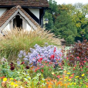 Garden Ideas, Border ideas, Perennial Planting, Perennial combination, Summer Borders, Fall Borders, Sneezweed, Helenium Moerheim Beauty, Dahlia, Aster Little Carlow, Ricinus communis Carmencita, Salvia Red Velvet