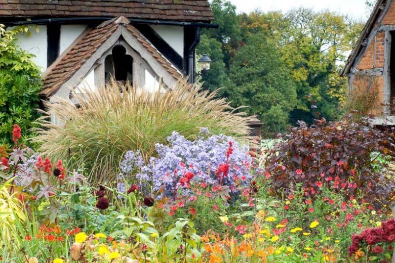 Garden Ideas, Border ideas, Perennial Planting, Perennial combination, Summer Borders, Fall Borders, Sneezweed, Helenium Moerheim Beauty, Dahlia, Aster Little Carlow, Ricinus communis Carmencita, Salvia Red Velvet