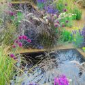 Garden Ideas, Border ideas, Perennial Planting, Perennial combination, Summer Borders, Allium sphaerocephalon,  Lavandula angustifolia 'Hidcote', Deschampsia cespitosa, Sedum 'Jose Aubergine', Santolina Pinnata subsp. Neapolitana, Pennisetum Setaceum Rubr