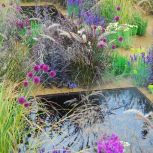 Garden Ideas, Border ideas, Perennial Planting, Perennial combination, Summer Borders, Allium sphaerocephalon,  Lavandula angustifolia 'Hidcote', Deschampsia cespitosa, Sedum 'Jose Aubergine', Santolina Pinnata subsp. Neapolitana, Pennisetum Setaceum Rubr