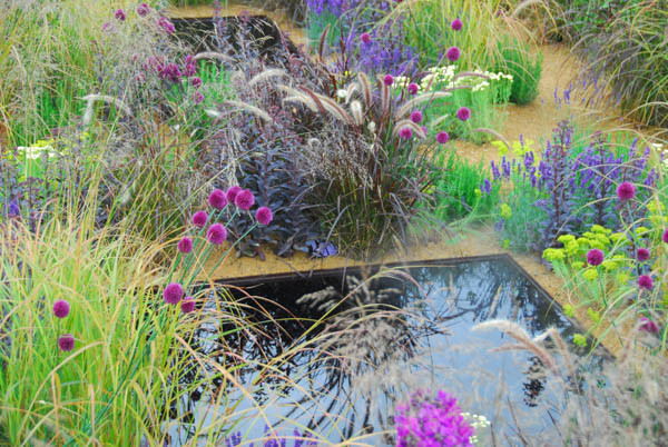 Garden Ideas, Border ideas, Perennial Planting, Perennial combination, Summer Borders, Allium sphaerocephalon,  Lavandula angustifolia 'Hidcote', Deschampsia cespitosa, Sedum 'Jose Aubergine', Santolina Pinnata subsp. Neapolitana, Pennisetum Setaceum Rubr
