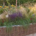 Garden Ideas, Border ideas, Perennial Planting, Perennial combination, Summer border, Fall Border, Grass Border, Salvia Nemorosa, Stipa, Stipa Tenuissima, salvia Mainacht, Salvie Caradonna, Salvia Amethyst