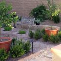 Garden ideas, Landscaping Ideas, Mediterranean garden, Mediterranean courtyard, terracota pots, gravel and stepping stones walkway, gravel and stepping stones path,boxwood,Studio H Landscape,container plants,formal,garden bench,geometric,geometry,gravel,g