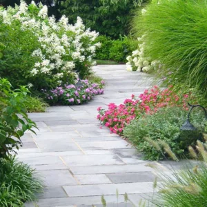 Garden Ideas, Landscaping ideas, pathway, walkway, bluestone, pathway, flowers, garden, oakleaf hydrangea,landscape idea,Ornamental grasses,perennials,annuals, catmint, liriope, miscanthus,plantings,walkway, Liquidscape