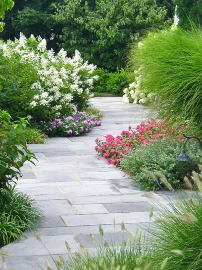 Garden Ideas, Landscaping ideas, pathway, walkway, bluestone, pathway, flowers, garden, oakleaf hydrangea,landscape idea,Ornamental grasses,perennials,annuals, catmint, liriope, miscanthus,plantings,walkway, Liquidscape
