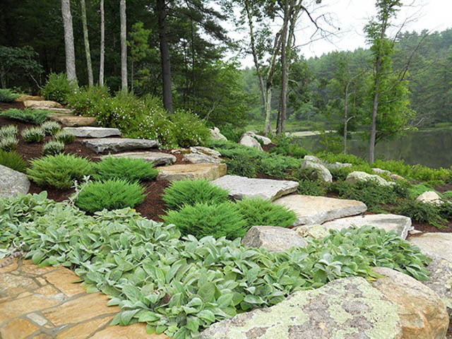 garden ideas, Landscaping ideas, Rock Garden, evergreens, cotoneaster, flowering shrubs, perennials, Rustic garden, Andrew Grossman