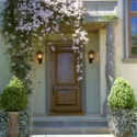 Garden Ideas, Climbing vines, Clematis Montana, Sweet Alyssum, Front entrance, Front entry, Mediterranean style garden