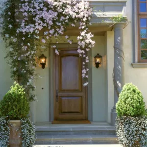 Garden Ideas, Climbing vines, Clematis Montana, Sweet Alyssum, Front entrance, Front entry, Mediterranean style garden