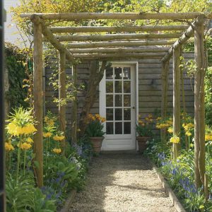 Spring Combination Ideas, Bulb Combinations, Plant Combinations, Flowerbeds Ideas, Spring Borders, Fritillaria Imperialis Maxima Lutea,Tulip Monsella, Muscari Armeniacum, Blue flower combination, yellow flower combination
