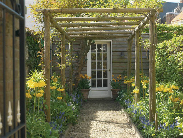 Spring Combination Ideas, Bulb Combinations, Plant Combinations, Flowerbeds Ideas, Spring Borders, Fritillaria Imperialis Maxima Lutea,Tulip Monsella, Muscari Armeniacum, Blue flower combination, yellow flower combination