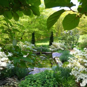Garden Ideas, Landscaping ideas, Andrew Grossman Landscape Design, Pond landscaping