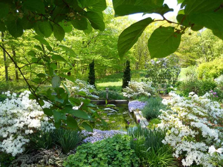Garden Ideas, Landscaping ideas, Andrew Grossman Landscape Design, Pond landscaping