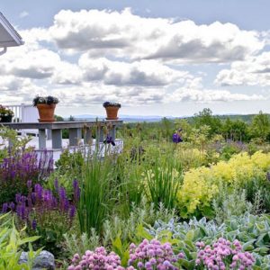 Garden Ideas, Landscaping Ideas, Perennial Garden, Mixed Perennial Borders,Salvia 'May Night', Lamb's ear, Allium, Common Chives, Sedum 'Autumn Joy', Iris 'Caesar's Brother', Alchemilla mollis, Perovskia atriplicifolia, Russian Sage, Perennial Border, Per