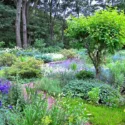 Garden ideas, Landscape Design,  Andrew Grossman Landscape Design, Cottage garden