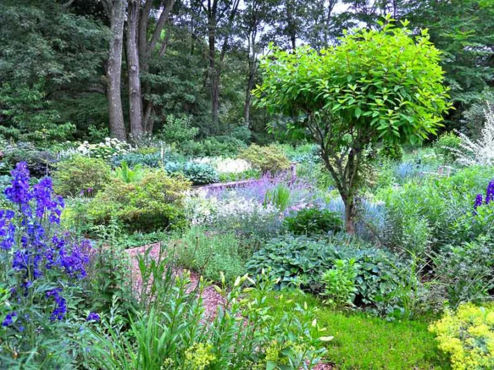 Garden ideas, Landscape Design,  Andrew Grossman Landscape Design, Cottage garden