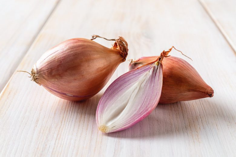 Shallots, Shallot, French Red Shallot, Allium ascalonicum, Dutch shallot, Persian shallot
