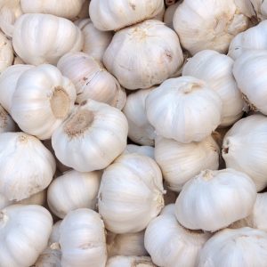 Allium sativum, Garlic, Churl's Treacle, Clown's Treacle, Common Garlic, Poor Man's Treacle