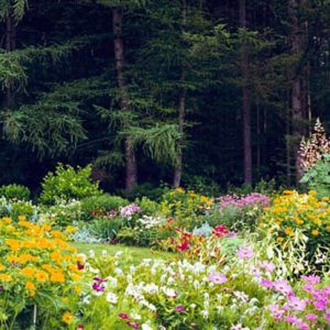 Garden ideas, Landscaping ideas, Impressionist Garden, Andrew Grossman, Perennials