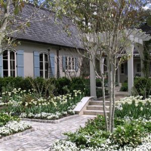 Garden ideas, Landscaping ideas, pergola, arbor, french style garden, tulips, late spring garden, tulip Spring green,Tulip Viridiflora, white garden, AHBL Landscape, cobble stones, courtyard