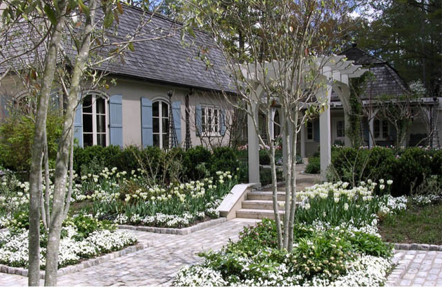 Garden ideas, Landscaping ideas, pergola, arbor, french style garden, tulips, late spring garden, tulip Spring green,Tulip Viridiflora, white garden, AHBL Landscape, cobble stones, courtyard
