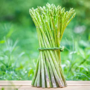 Asparagus officinalis, Asparagus, Asperging Herb, Edible Asparagus, Wild Asparagus, Sparrow Grass, Garden Asparagus