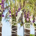 August Birth Flower, Birth Flowers, Birth Month Flowers, Birth Flower, Month Birth Flower, May Birth Flower, June Birth Flower, July Birth Flower