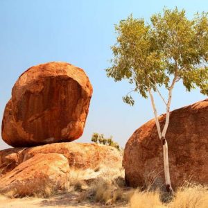 Hardiness zones, USDA, USDA Map, Hardiness zones in Australia, Australia Climate, Australia Weather, Regional Gardening