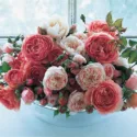 Best David Austin Roses, David Austin Roses for Cutting, Great Roses, Top Roses, Best roses for Cutting, Best English Roses for Bouquets, Fragrant Roses for Cutting, Fragrant Roses for Bouquets