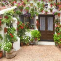 Mediterranean Garden Styles, Mediterranean Style, Mediterranean Plants, Mediterranean Bulbs, Mediterranean Garden Plants, Mediterranean Garden Design, Mediterranean Landscaping Ideas