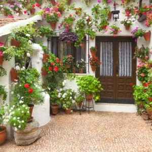 Mediterranean Garden Styles, Mediterranean Style, Mediterranean Plants, Mediterranean Bulbs, Mediterranean Garden Plants, Mediterranean Garden Design, Mediterranean Landscaping Ideas