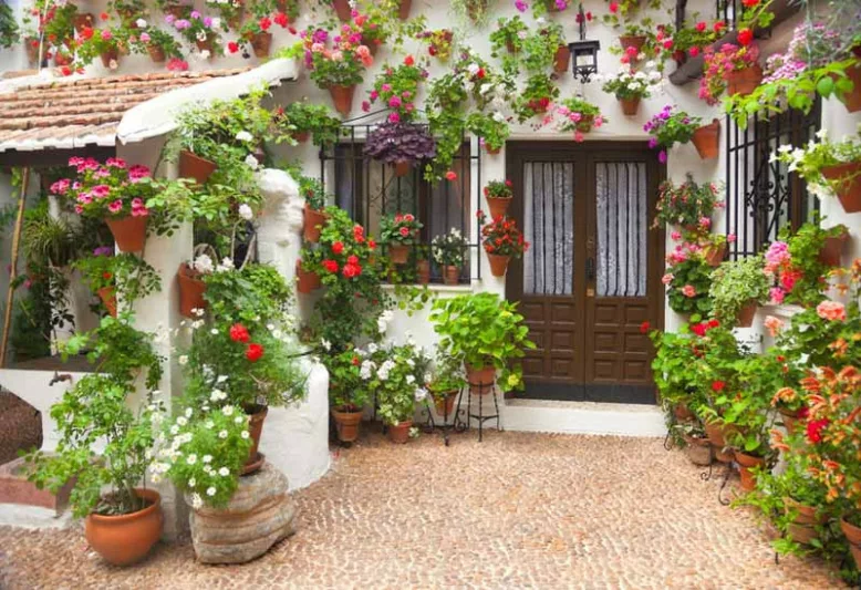 Mediterranean Garden Styles, Mediterranean Style, Mediterranean Plants, Mediterranean Bulbs, Mediterranean Garden Plants, Mediterranean Garden Design, Mediterranean Landscaping Ideas