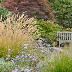 New England, New England garden, Best Ornamental Grasses, Ornamental Grasses for New England, Great Ornamental Grasses, Top Ornamental Grasses, Northeast region, Northeast garden, Best Ornamental Grasses for Northeast, Ornamental Grasses for Northeast