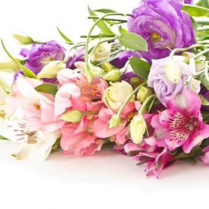Pacific Northwest ,Pacific Northwest  states, Pacific Northwest  garden, Best Perennials, Pacific Northwest  Perennials, Great Perennials, Perennials for Pacific Northwest