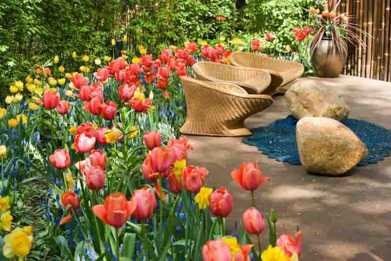 South Coastal Atlantic Region, Spring Bulbs for South Coastal Atlantic Region, Spring Flowers for South Coastal Atlantic Region, US Region Map, US Planting Map